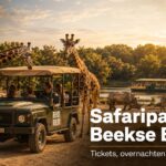 afaripark Beekse Bergen met giraffen, safariwagen, zebra’s, neushoorn en safariboot